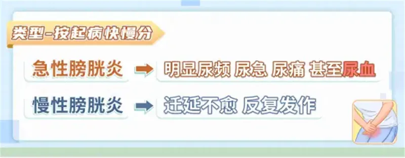 详细展示