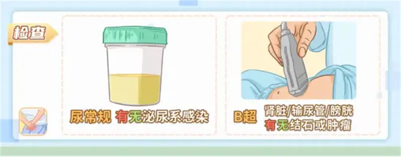 细节描述