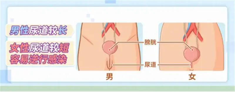 细节说明