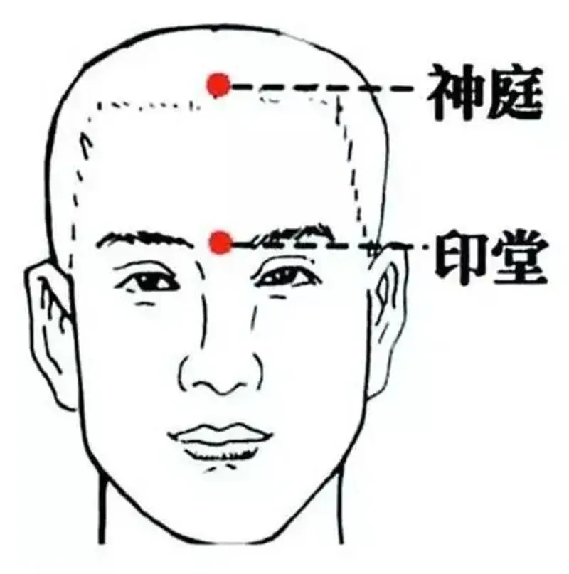 详细描述