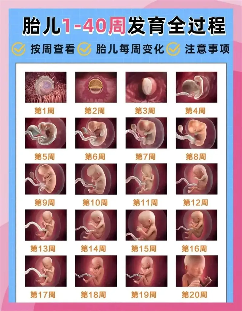 细节展示