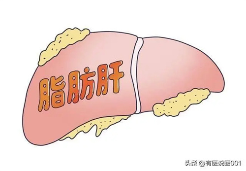 详细介绍