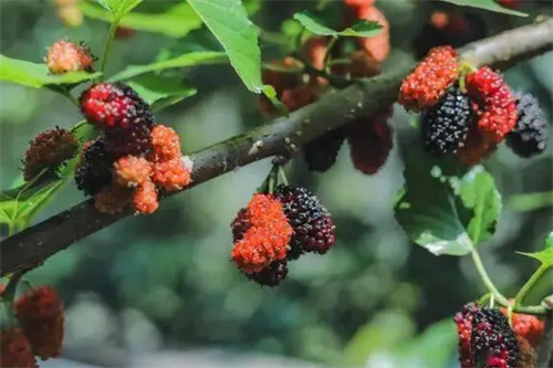 细节说明