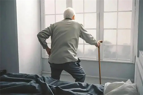 细节介绍