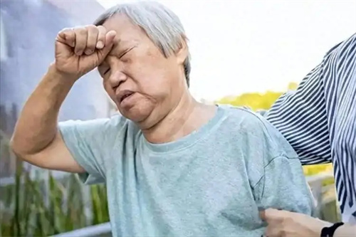 详细描述