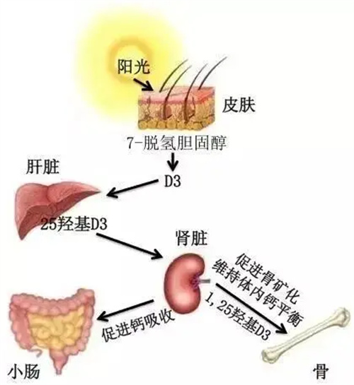 细节描述