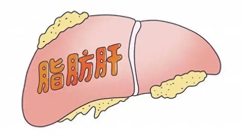 详细展示