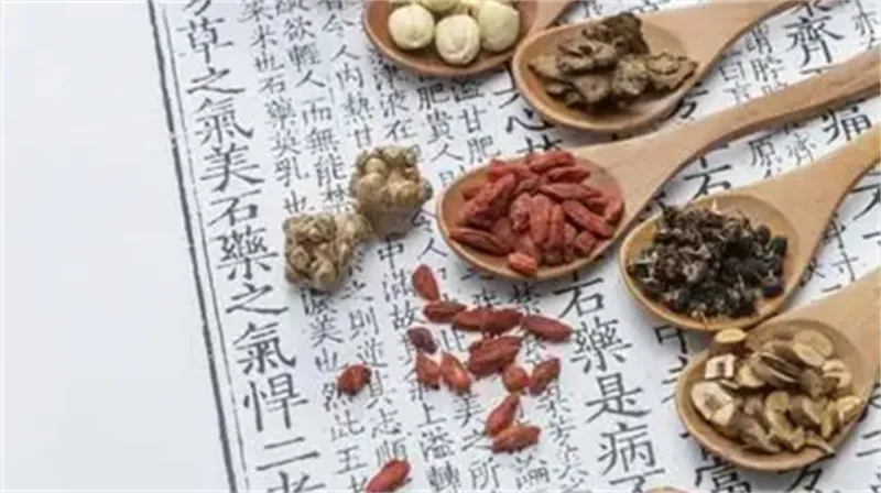 详细介绍