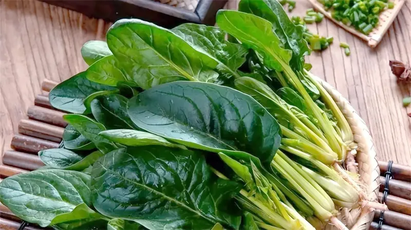 详细介绍